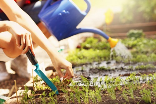 Drainage trench installation in a Greenwich garden with wet lawn conditions