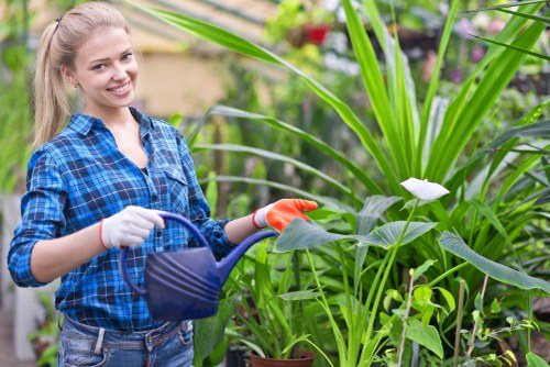 Landscaping team preparing a Greenwich garden service booking