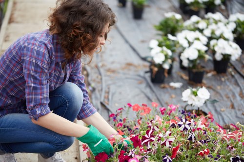 Landscape project with waste handling and site safety considerations