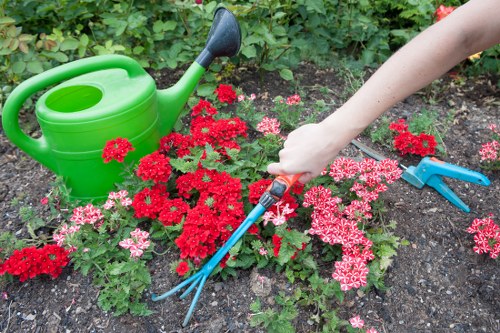 Reviewing landscaping work details during a complaint process