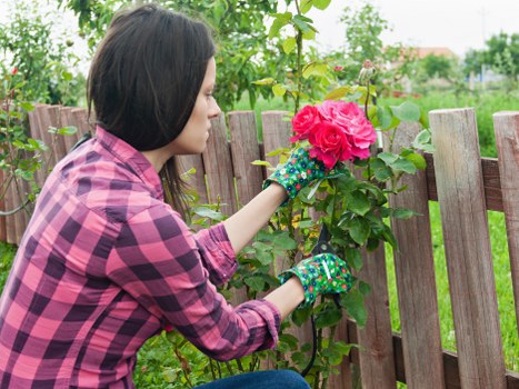 Commitment to ethical and lawful practice across Landscaping Greenwich
