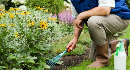Greenwich landscaping accessibility improvement concept
