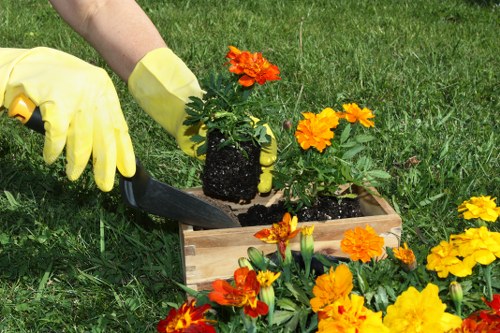 Landscaping quote process for a busy Greenwich property