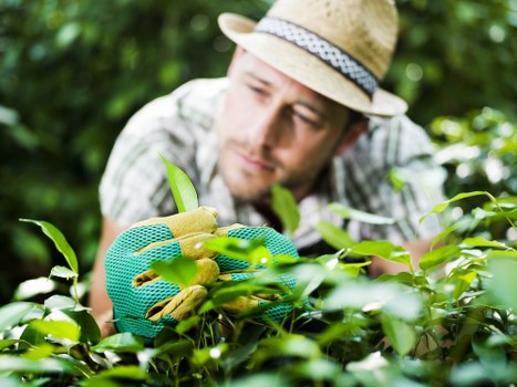 Protected Landscaping Greenwich payment experience with PCI compliant security