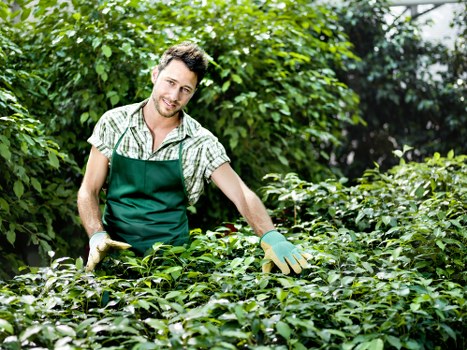Professional landscaping for a Greenwich property with improved paths, borders, and planting